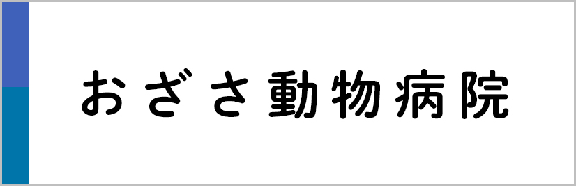 おざさ動物病院